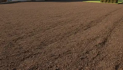 Graded soil prepared for sod installation by Chop Chop Landscaping in Thornton, CO