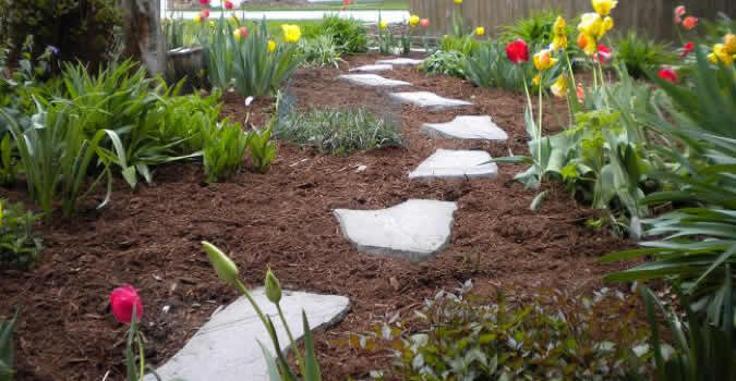 rock landscaping